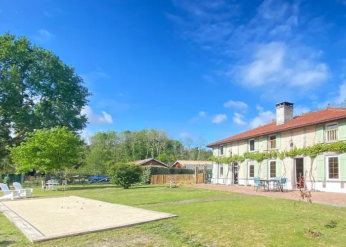 La résinière de pirique